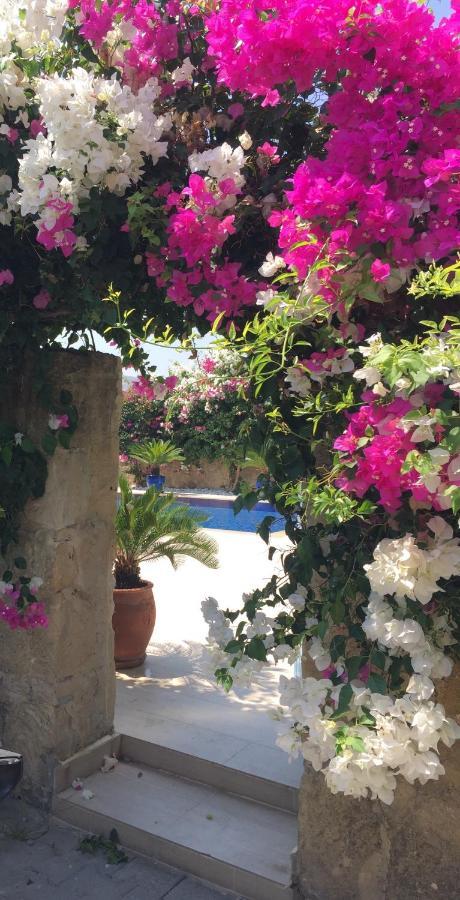 Casa Santos Kyrenia Βίλα Κερύνεια Εξωτερικό φωτογραφία