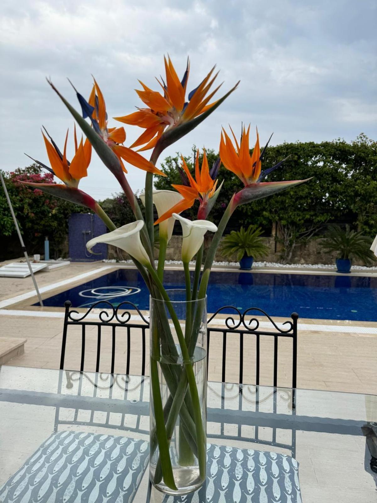 Casa Santos Kyrenia Βίλα Κερύνεια Εξωτερικό φωτογραφία